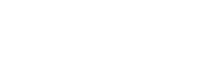 BitSafe TI