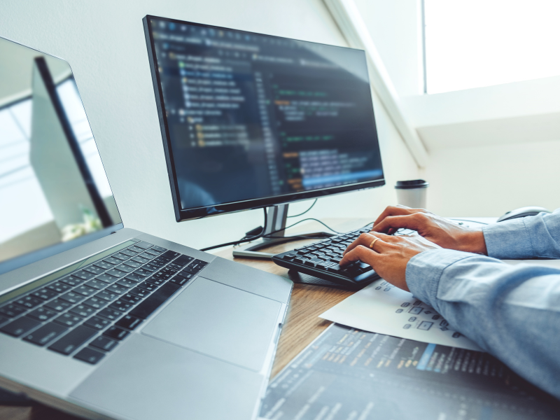 4. Desenvolvimento e Manutenção terceirizados de Softwares